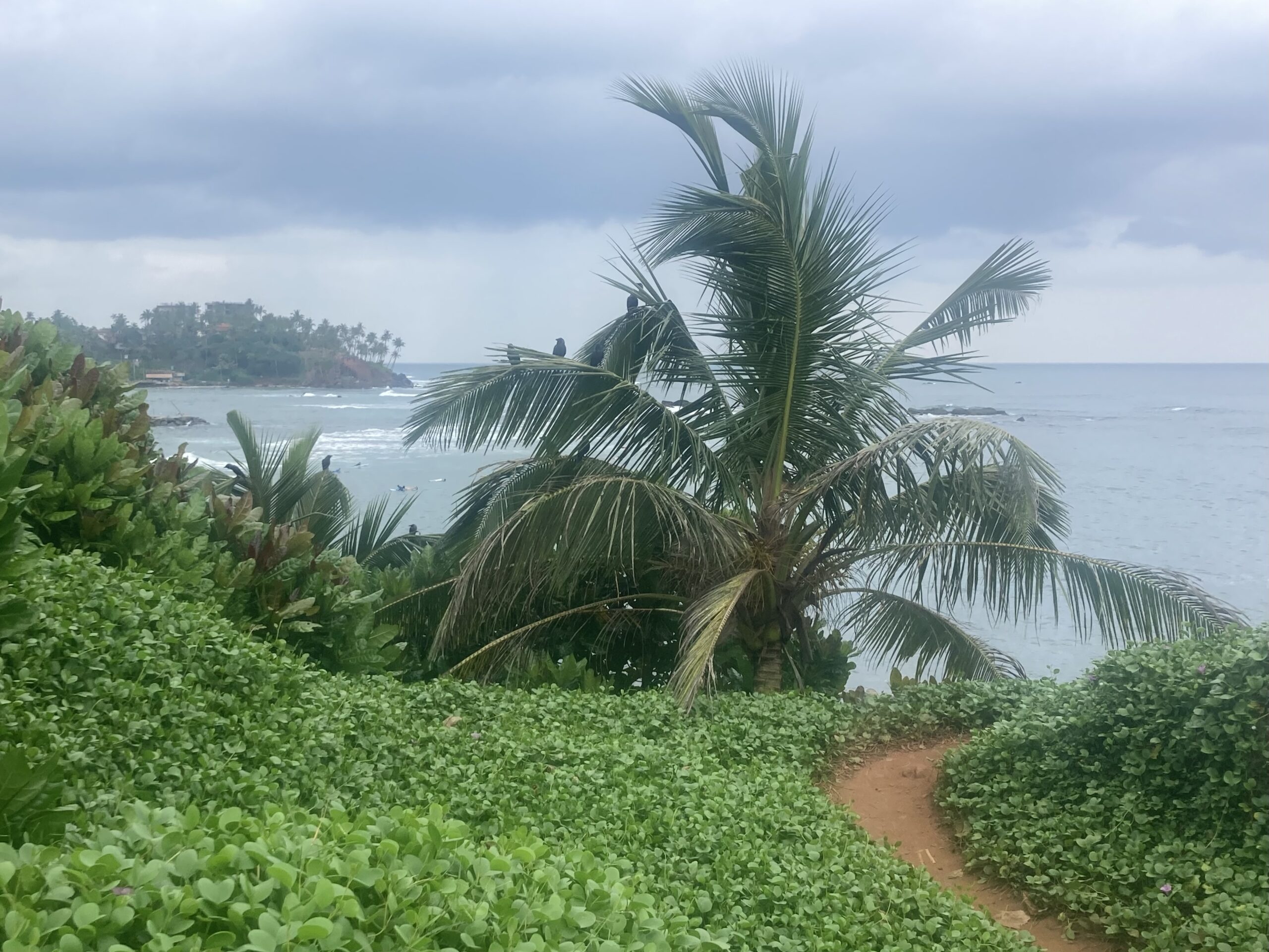 Mirissa, Sri Lanka